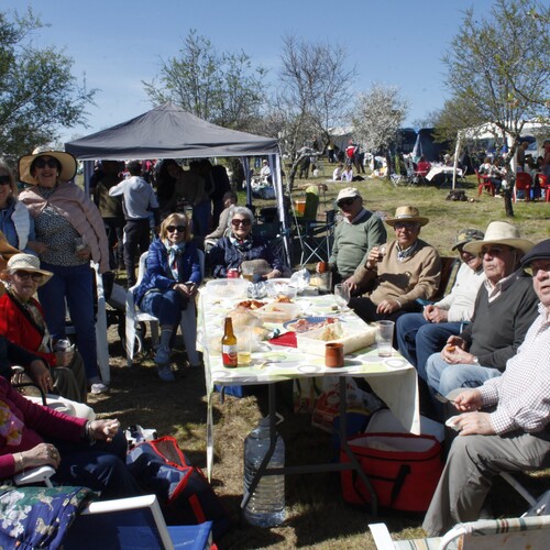 Almendro en flor 2026 (16)